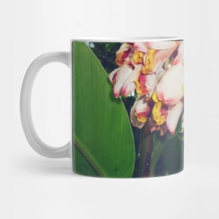 Pink Flowers Photography design with blue sky nature lovers Mug